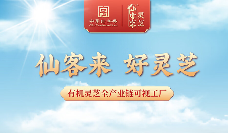 仙客来 好灵芝